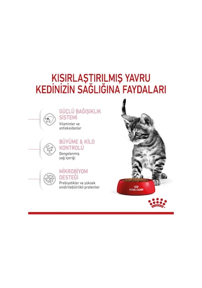 Royal Canin Kısırlaştırılmış Yavru Kedi Maması 2 KG