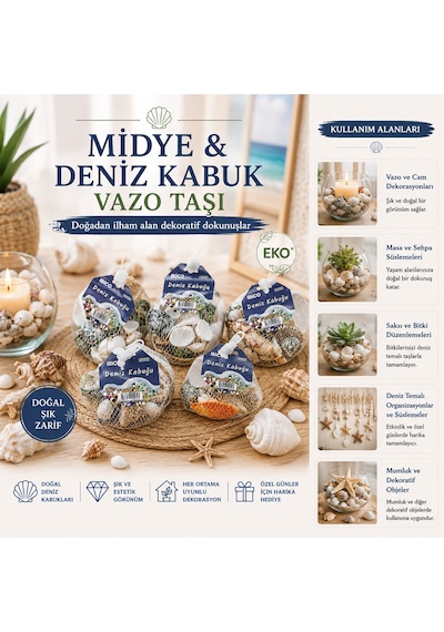 15 Adet Fileli Renkli Mix Eko Midye - Deniz Kabuk Vazo Taşı 11
