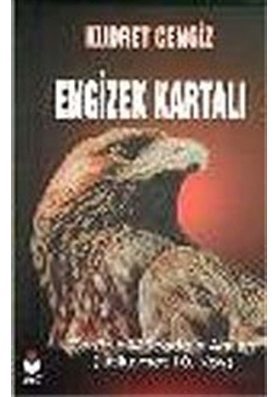 Engizek Kartalı / Kudret Cengiz
