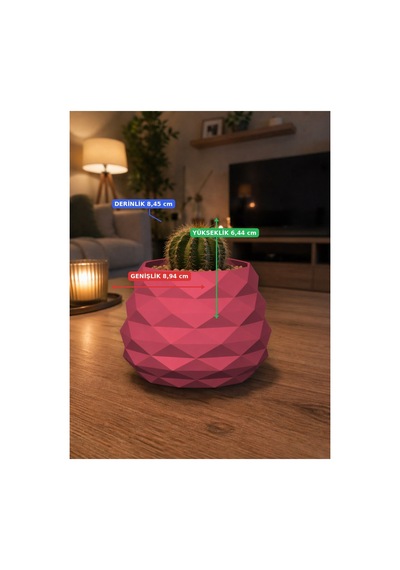Geometrik Mini Kaktüs Saksısı Dekoratif Masa Üstü Saksı 3d Baskı