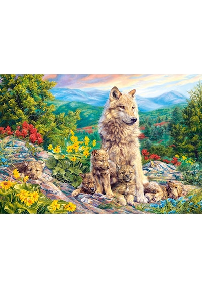 Castorland 1000 Parça Puzzle New Generation