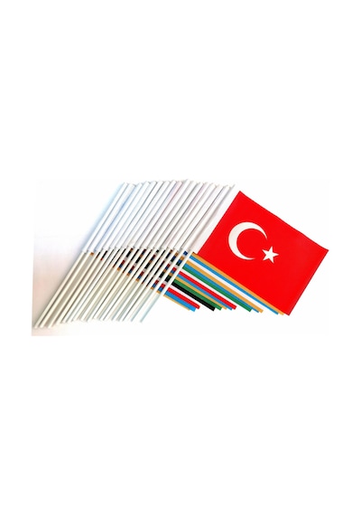 Eski Türk Devlet Bayrakları Sopalı 20X30CM