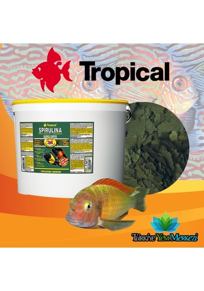 Tropical %36 spirulina super forte 100 gram