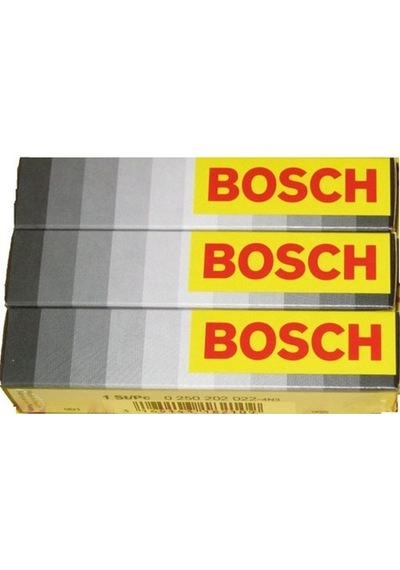 Bosch 0250202022 Kızdırma Bujisi Kng-Clıo-Mgn Iı-Modus-Logan-Dust
