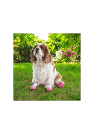 Akınalbella Kaydırmaz Kauçuk Tabanlı Lastikli Köpek Ayakkabısı, Pembe Antrasit