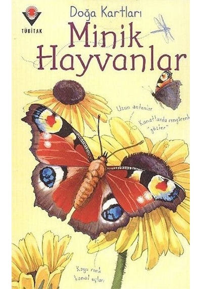 Doğa Kartları  - Minik Hayvanlar  - Emily Bone  - Tübitak Yayınları