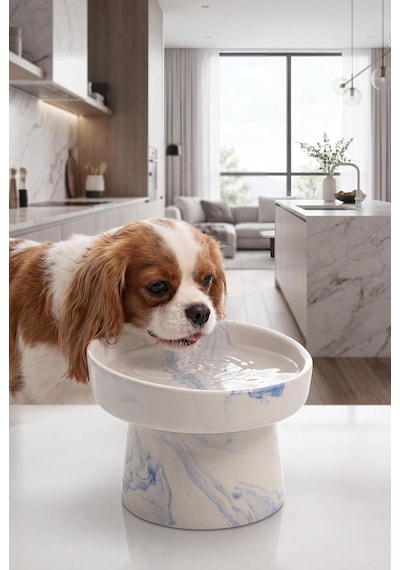 Seramik Mama Kabı - Kedi Ve Köpekler İçin Sağlıklı Mama Kasesi - Ayaklı,yükseltilmiş, Kaymaz Mama Kabı Mavi