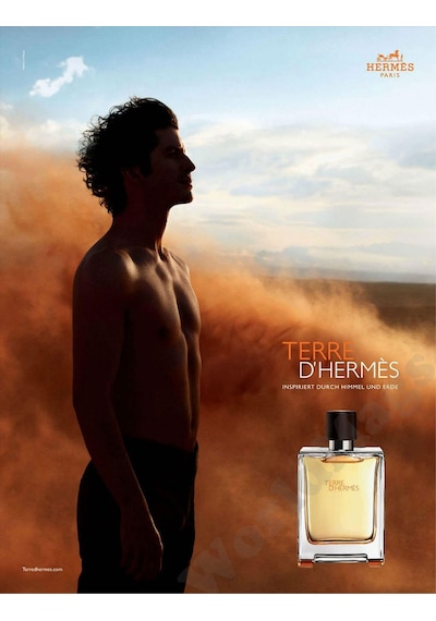 Hermes Terre D'Hermes Erkek Parfüm EDP 75 ML