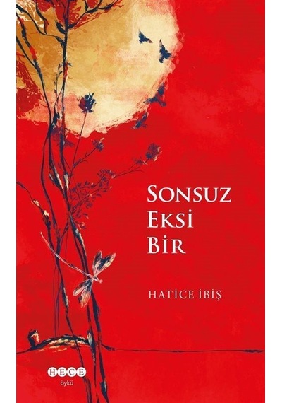 Sonsuz Eksi Bir - Hatice İbiş - Hece Yayınları