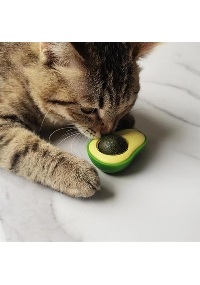 Avokado Model Yapışkanlı Kedi Nanesi Oyuncağı