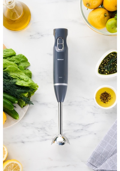 Homend Handmaid 1935h Çubuk Blender