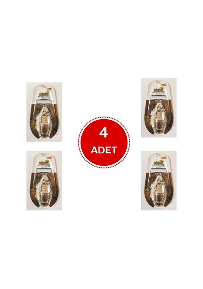 Odunsu Dekoratif Araç Kokusu 8ml 4 Adet