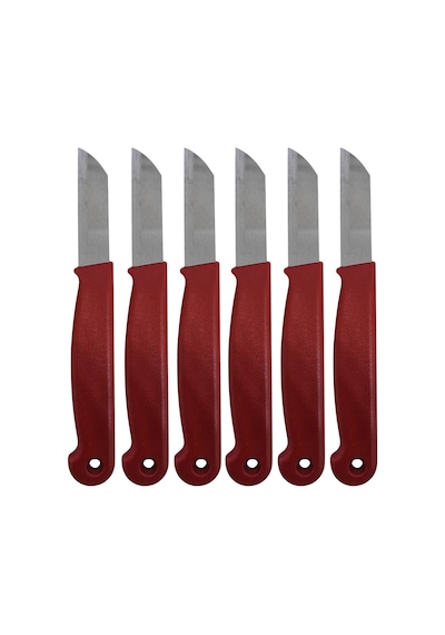 Bymyhand Kırmızı Meyve Bıçağı 6'lı Set Metal