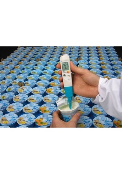 Testo 206 Ph2 - Yarı Katılar İçin Ph Metre / Sıcaklık Ölçüm Cihazı