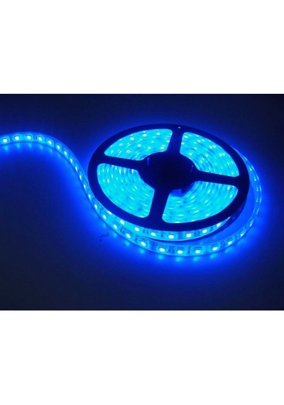 Cata Ct-4484 İç Mekan Şerit Led Mavi - 5 Metre