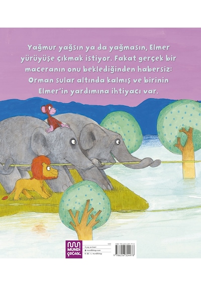 Elmer Ve Sel 9786256324978