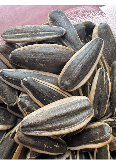 Umak Çerezlik Siyah Kavrulmuş Ay Çekirdek 5 KG