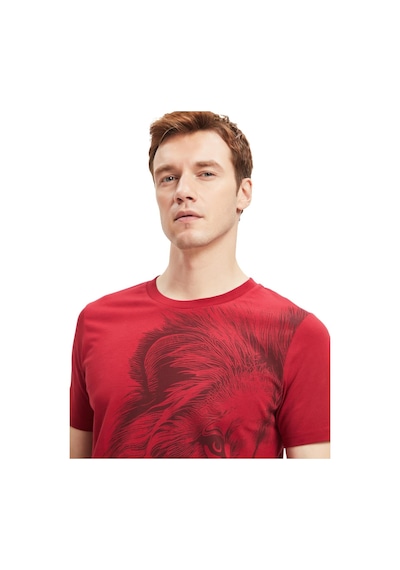 Galatasaray Lisanslı Aslan Baskılı T-shirt + Bileklik Set Ahşap Kutulu 105 Kırmızı