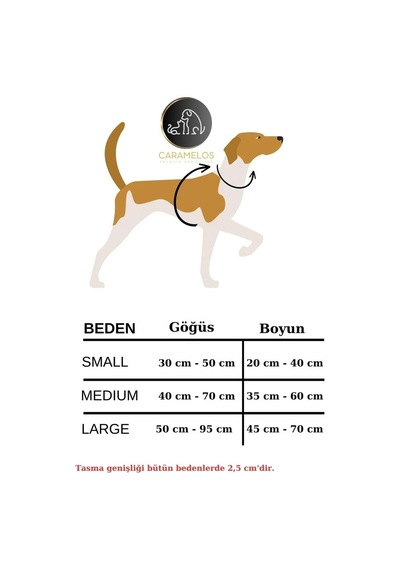 Tr İsimli-h Tipi Köpek Tasma Seti- Göğüs+boyun+gezdirme-isme Özel Köpek Göğüs Tasması-orta-büyük Irk Des Genel