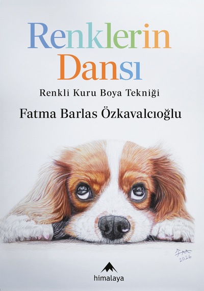 Renklerin Dansı