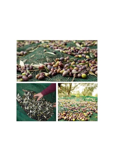 3x6 Metre Zeytin Sergisi Zeytin Toplama Filesi Fındık Fıstık Örtüsü Gölgelik Dut Meyve Sergisi Taban Örtüsü