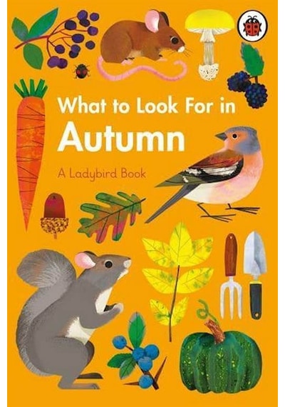 What to Look For in Autumn 9780241416167