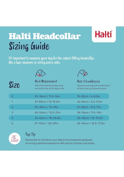 Şirket Hayvanlarının Halti Köpek Halter, Boyut 2 35-48 Cm , Siyah Genel