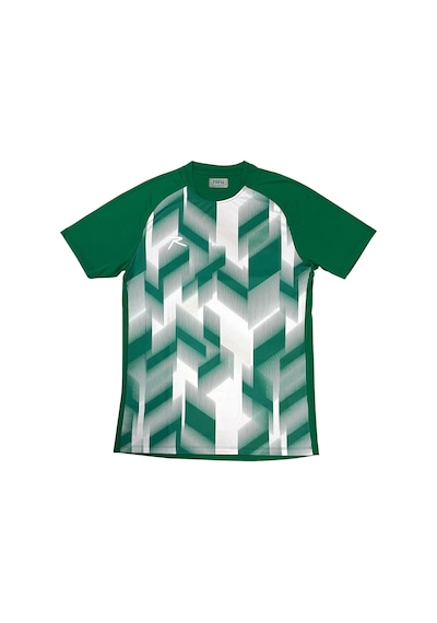 Raru T-shirt Pactus Yeşil Yeşil