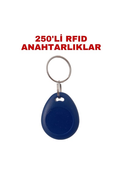 Sr-602 Yazılabilir Ve Kopyalanabilir Rfıd Proximity Anahtarlık 125 Khz Keyfob Geçiş Kontrol Çipi 250 Adet