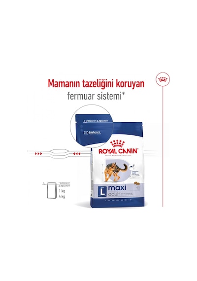 Royal Canin Maxi Adult Kümes Hayvanlı Büyük Irk Yetişkin Köpek Maması 15 KG