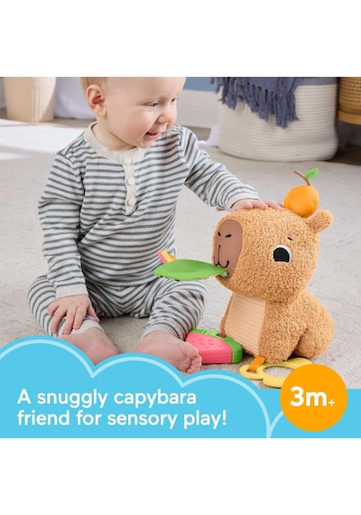 Fisher-price 3 Ay Ve Üzeri Bebekler Için Yumuşacık Obur Kapi Duyu