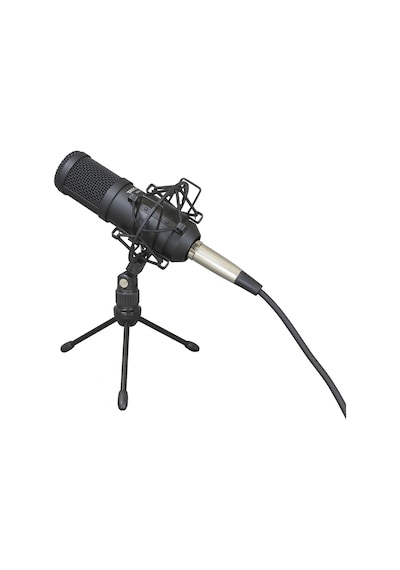 Tascam Tm-70 Dinamik Yayın ve Podcast Mikrofonu