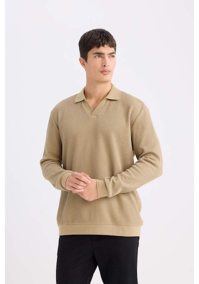 DeFacto Regular Fit Polo Yaka Sweatshirt D7448AX25SPKH185