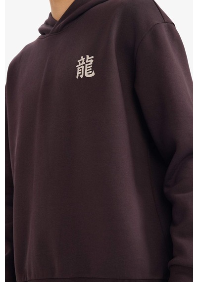 Defacto Boxy Fıt Kapüşonlu Baskılı Sweatshirt F8188ax26spbn337 Kahve-bn337