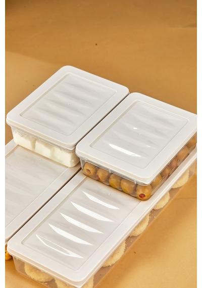 Multi Box 4 Parça 2 Farklı Boy Saklama Kabı Seti - Dondurucu & Mikrodalga Uyumlu Krem