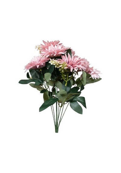 Ogc-0038 Cerbele 9dal Şeffaf