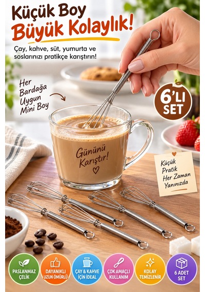 6'lı Mini Çırpıcı Seti 13 Cm Paslanmaz Çelik Çay Kahve Yumurta Sos Karıştırıcı Yaylı Mutfak Çırpıcı Gümüş