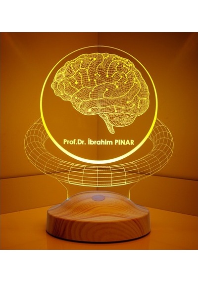 3D Profesör Doktor Beyin Hediyesi Kişiye Özel 3 Boyutlu Led Lamba