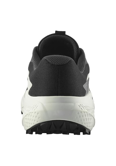 Salomon Alphaglide Erkek Siyah Koşu Ayakkabısı Siyah