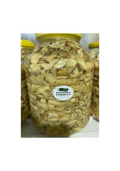 Akkuş Dağ Mantarı Tuzlaması 5 Kg