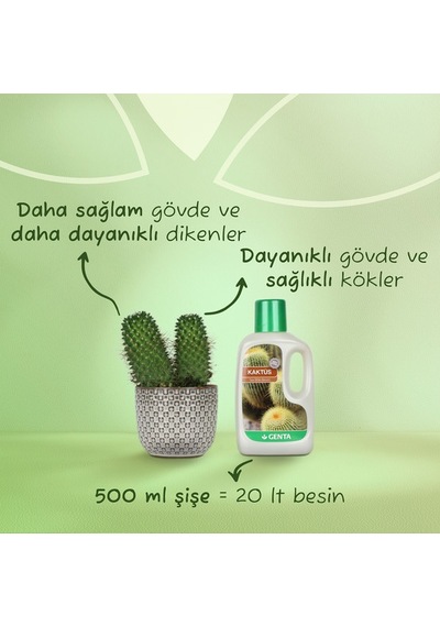 Genta Kaktüs İçin Sıvı Besin Diğer