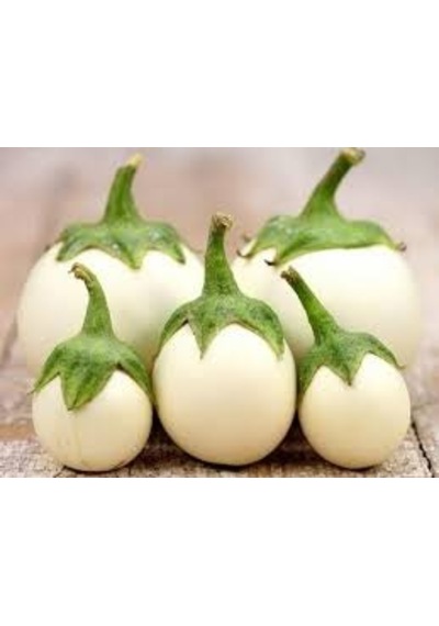 30 Adet Tohum Nadir Beyaz Yumurta Patlıcan Tohumu Dolmalık Organi