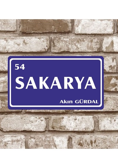 Kişiye Özel Metal Plaka Sakarya 54 Retro Poster (29X15)