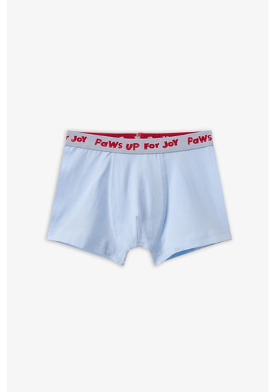 Penti Erkek Çocuk Mavi Paws For Joy Pamuklu 3lü Boxer