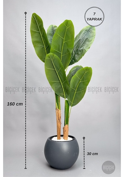 Biçiçek Yapay Starli̇ce 160 Cm 7 Yapraklı Antresi̇t Küre Saksıda