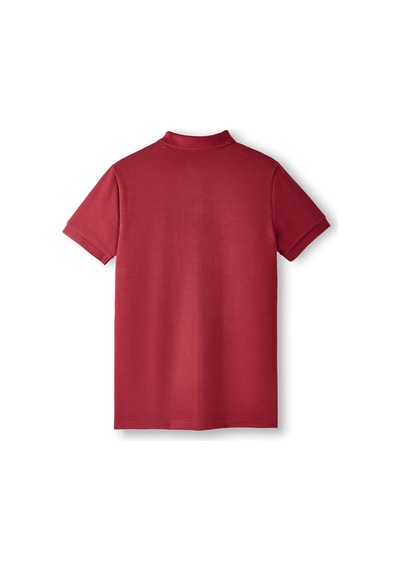 Gsstore Galatasaray Erkek Polo T-shirt E252103 Bordo