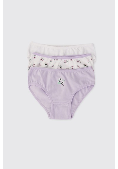 Panço Kız Çocuk Renkli 3'lü Slip Seti 2612gk14001