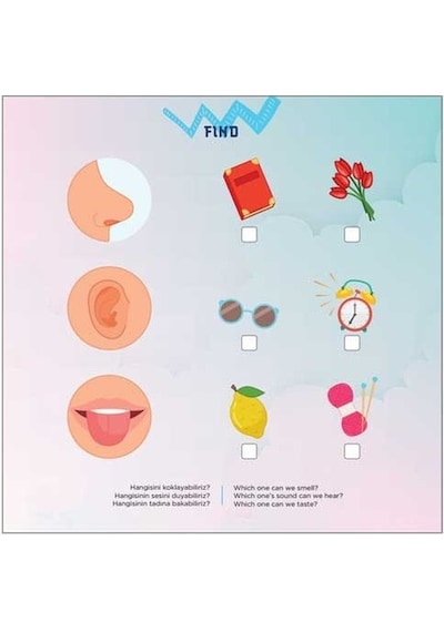 Fınd Iq Dikkat ve Yetenek Geliştiren Kitaplar Serisi