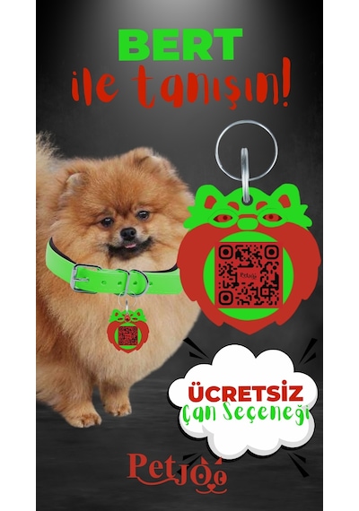 Petjoo 13.Bert Kırmızı-Yeşil Qr'lı Köpek Künyesi