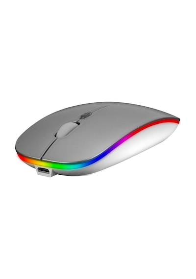 Everest SMW-306R Şarjlı Kablosuz Rgb Mouse